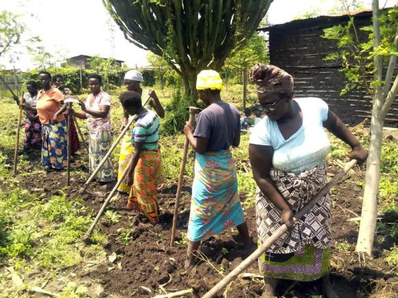 COPAD: Une lueur d’espoir pour les groupements agricoles des femmes